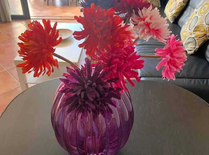 Adeje Paradise En Playa Paraiso *